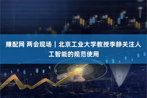 赚配网 两会现场｜北京工业大学教授李静关注人工智能的规范使用